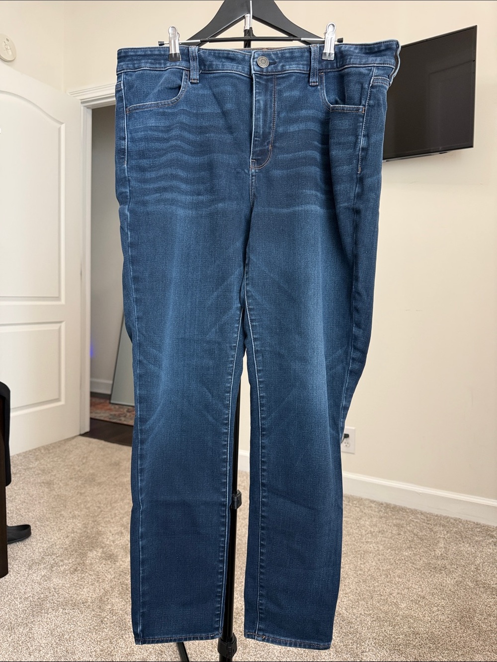American Eagle Outfitters High-Rise Jegging  18 Long